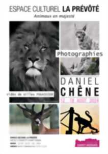 photo Exposition photographies de Daniel Chêne : 