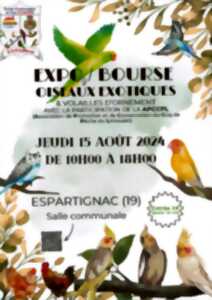 Expo / bourse d'oiseaux exotiques