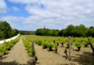 Jeu d'orientation au coeur de l'Espace Naturel Sensible de la Cote Belet