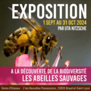 Exposition 