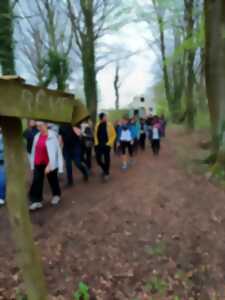 photo Journée Européenne du Patrimoine de la Vallée de l'Hozier