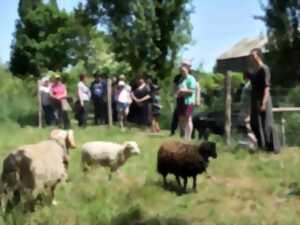 photo La Belle Affaire, La grange du Viornay