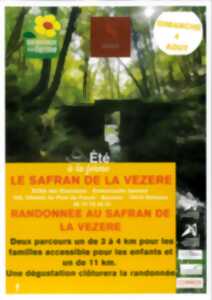 Randonnée au safran de la Vézère