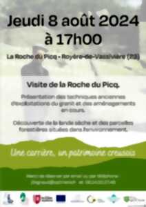 photo Visite de la Roche du Picq : démonstration taille de pierre