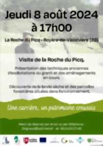 Visite de la Roche du Picq : démonstration taille de pierre