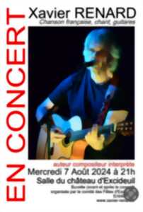 photo Xavier Renard en concert