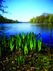 photo Partez à la découverte des libellules