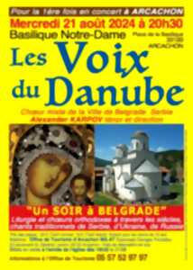 photo Concert : les voix du Danube