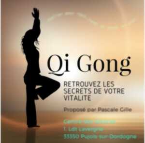 photo Qi Gong pour Tous ! retrouvez les secrets de votre VITALITE