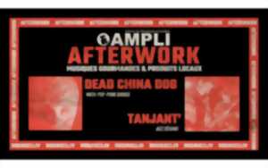 Ampli Afterwork