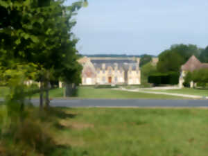 photo Cinéma en plein air au Château de Carel