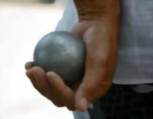 photo CONCOURS DE PÉTANQUE EN NOCTURNE