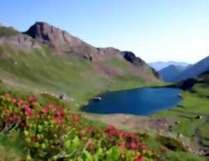 Découverte de la faune et de la flore des Pyrénées