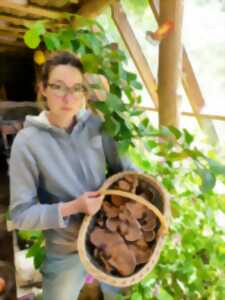 Atelier de production de champignons