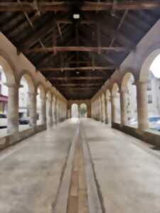 Visite sensorielle d'Airvault, dans le cadre des Mercredis de l'été, en Airvaudais-Val du Thouet