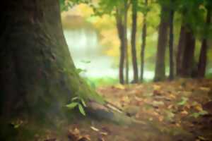 photo Fête de la nature - La Nature qui nourrit le corps et l'esprit