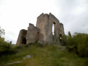 photo JEP 2024 - CHÂTEAU DE COUSTAUSSA