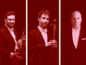 photo APÉRO-CONCERT : TRIPLE CONCERTO DE BEETHOVEN