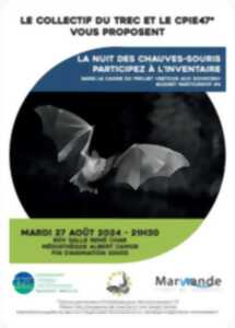 La Nuit des Chauves-Souris