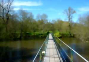 photo Randonnée commentée - La Passerelle d'Auzay