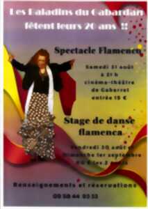 Stage de danse flamenca