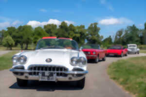 photo Classiques en mouvement ! Rassemblement sur l'autodrome