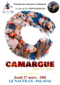 CINÉMA/CONFÉRENCE « CAMARGUE, SOUS LES SABOTS »