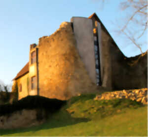 Journées européennes du Patrimoine : Visite du Vieux Château