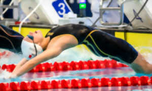 L’Aquapolis accueille l'équipe de France de Natation Handisport - Limoges