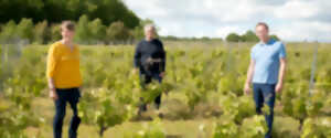 photo Journée découverte du métier passionnant de vigneron au Domaine Charles Pain : Ils se metent en 4 pour nos 5 vins