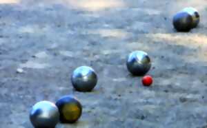 photo Concours de pétanque