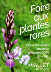 photo Foire aux plantes rares