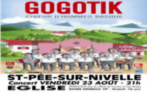 Concert avec le choeur d'hommes Gogotik