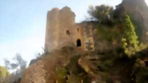 photo VISITE COMMENTÉE : CHÂTEAU DE LAUZIÈRES