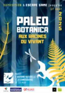 photo Exposition Paleobotanica - Aux racines du vivant