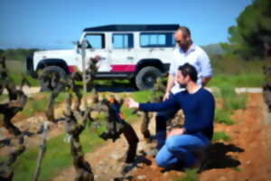 photo FASCINANT WEEKEND - DE LA VIGNE AU VERRE