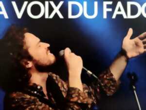 FESTIVAL EUROCLASSIC 2024 - DUARTE : LA VOIX DU FADO