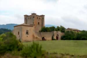 photo JEP 2024 - CHÂTEAU D'ARQUES