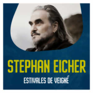 photo Concert Stephan Eicher