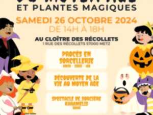 SPECTACLE - SORCIÈRES DU MOYEN ÂGE ET PLANTES MAGIQUES