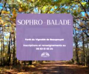 photo Sophro-balade