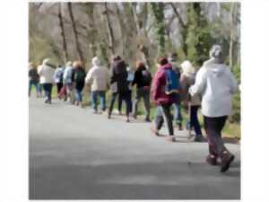 Marche rapide - rando de l'Avance