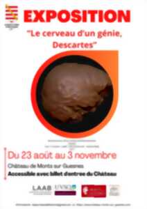 photo Exposition 