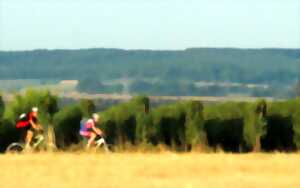 Balade découverte en VTT