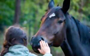 Les ateliers Equi-Balade