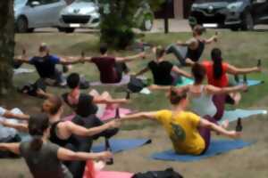 Yoga-bière