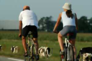 photo Fête du vélo