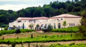 photo FÊTE DES VENDANGES AU CHÂTEAU DE VALLOUBIÈRE