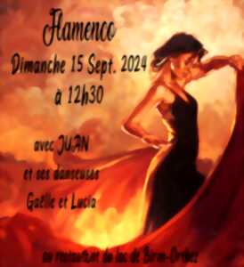 photo Spectacle flamenco