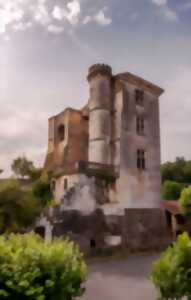 photo Visite guidée St Georges de Montclard « Une histoire de charmes »